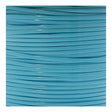 94-390210.SLC.jpg LacePlasticBaby Blue Image