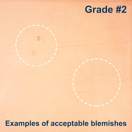 100-D.SLC.5.jpg Import Tooling Pre-Cut - 12" x 12" Image