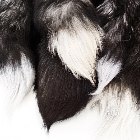 126-130104.SLC.1.jpg Silver Fox Tail Image