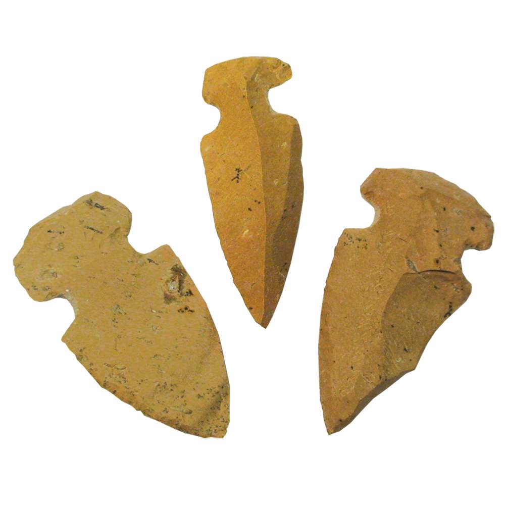 111-196800.SLC.jpg Natural Arrowhead Image