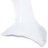 63-84011.SLC.02.jpg Ostrich Leg - Crust Image