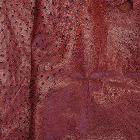 OSTH.Almond.02.jpg Ostrich Hides Image