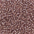 222-1442016.SLC.1.jpg 10/0 Seed Beads - Purple Lined 110g Image