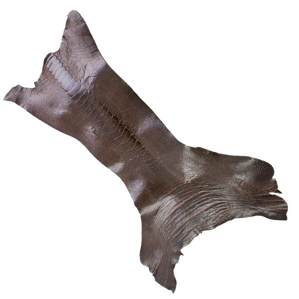 63-820108.SLC.jpg SPECIAL PURCHASE Ostrich Leg - Cigar Brown Image