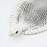 39-1.SLC.1.jpg Natural Cobra Skin with Head Image