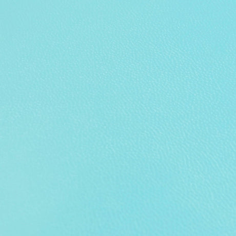 KDSKF.Aquamarine.03.jpg Shrut & Asch Kidskins Image