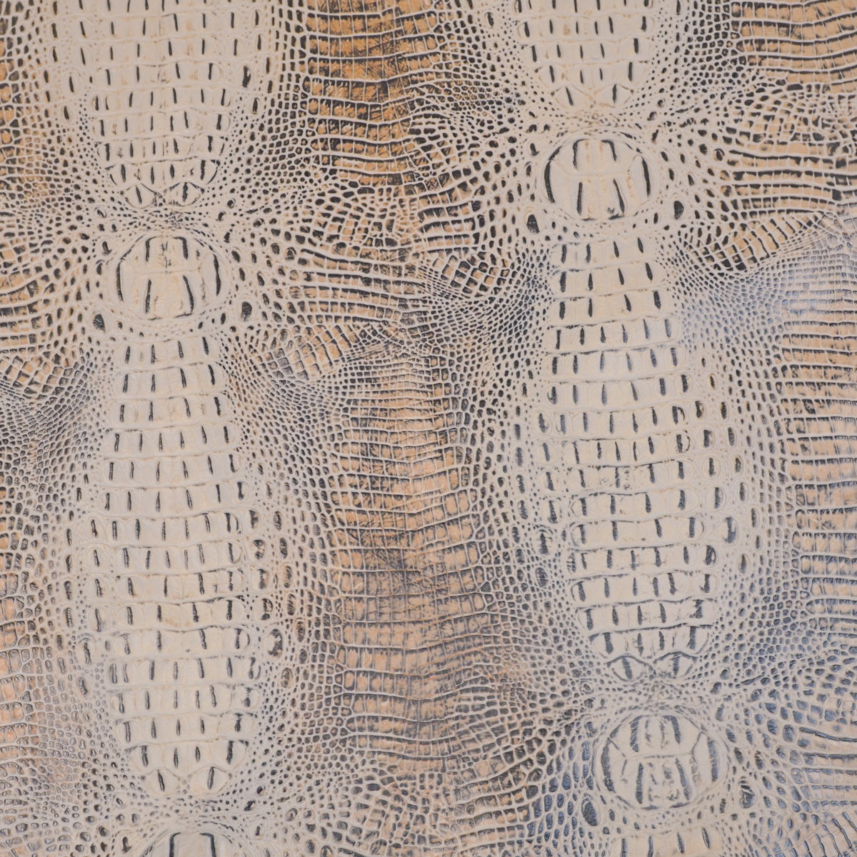 EGOC.Taupe.04.jpg Embossed Gator on Cow Image