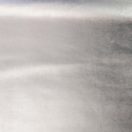 50-1007.SLC.03.jpg Metallic Cow Side - Silver Image