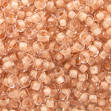 229-1027.SLC.jpg Seed Beads 10/0 Peach Crystal Lined - 20g Image