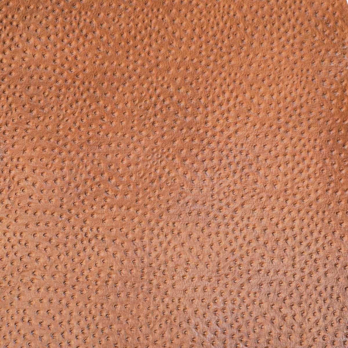 371-403.SLC.3.jpg Ostrich Print on Pig - Tan Image