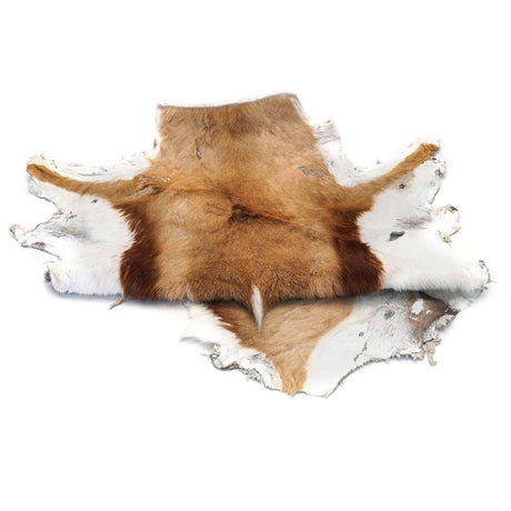 63-04.SLC.02.jpg Springbok Hair-on Skin Image