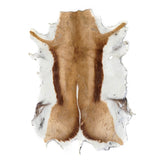 63-04.SLC.01.jpg Springbok Hair-on Skin Image