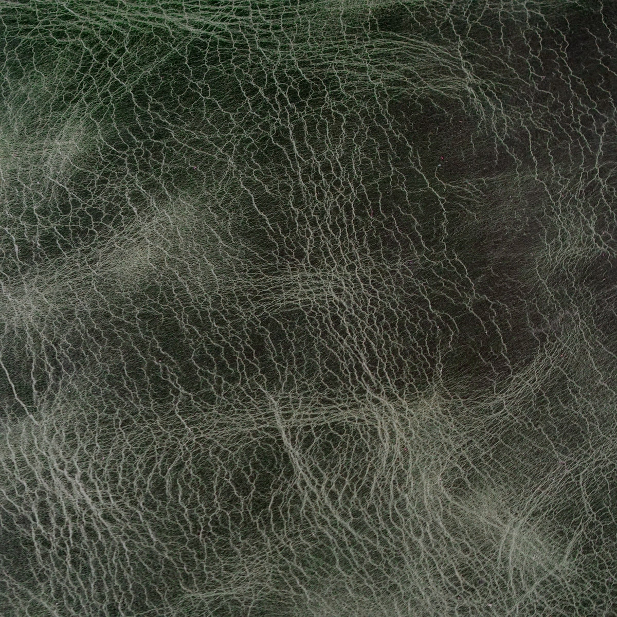 VENUP.Forest.02.jpg Venetian Upholstery Hide Image