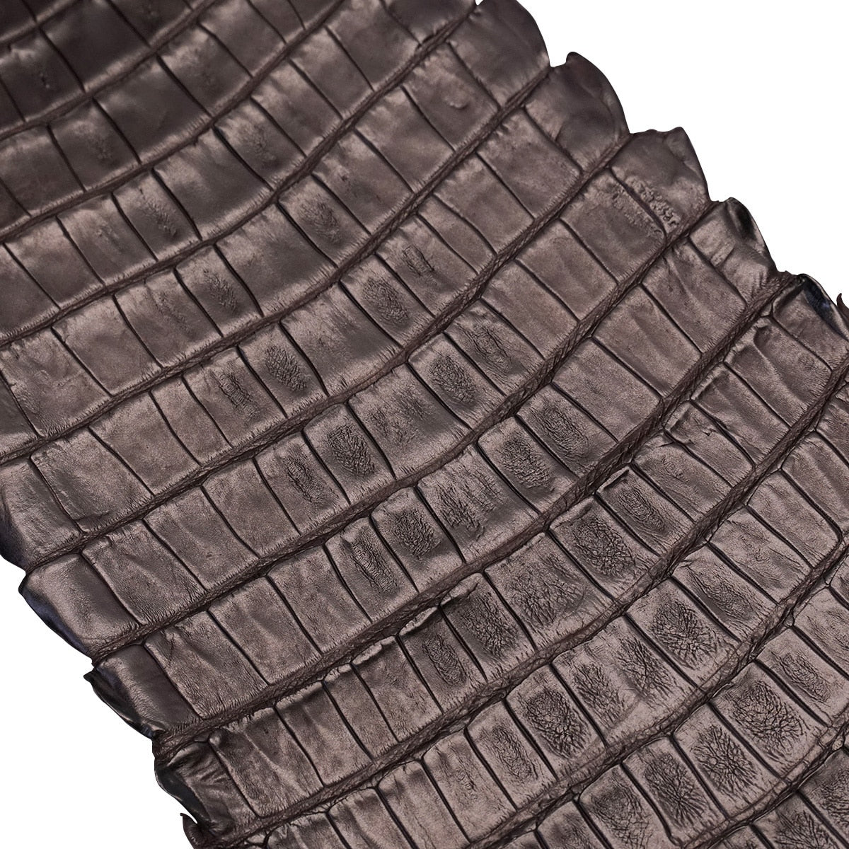 NCROC.Brown.Belly.03.jpg Nile Crocodile Tails Image