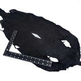 39-82009.SLC.3.jpg Large Black Stingray Image