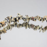 Dalmation Jasper Stone Chips