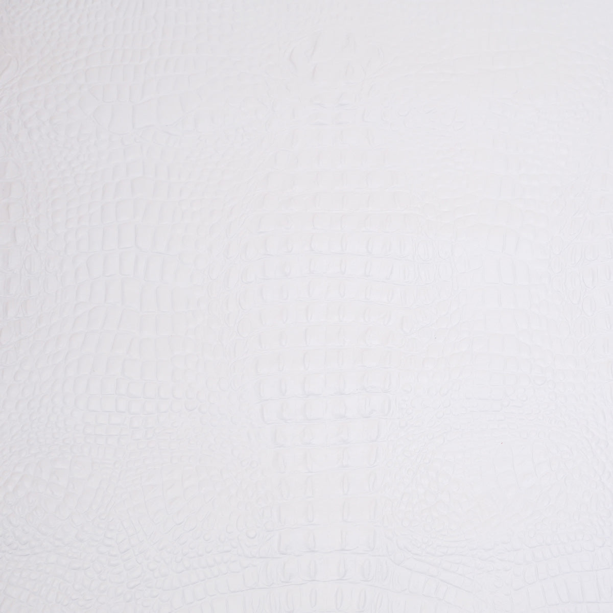 62-2604.SLC.4.jpg Embossed Alligator Side - White Image