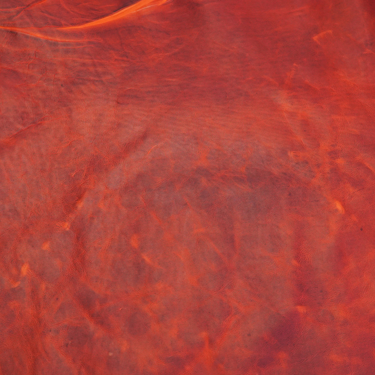 OTCC.Tangerine.04.jpg SLC Oil Tan - Cowboy Collection Image