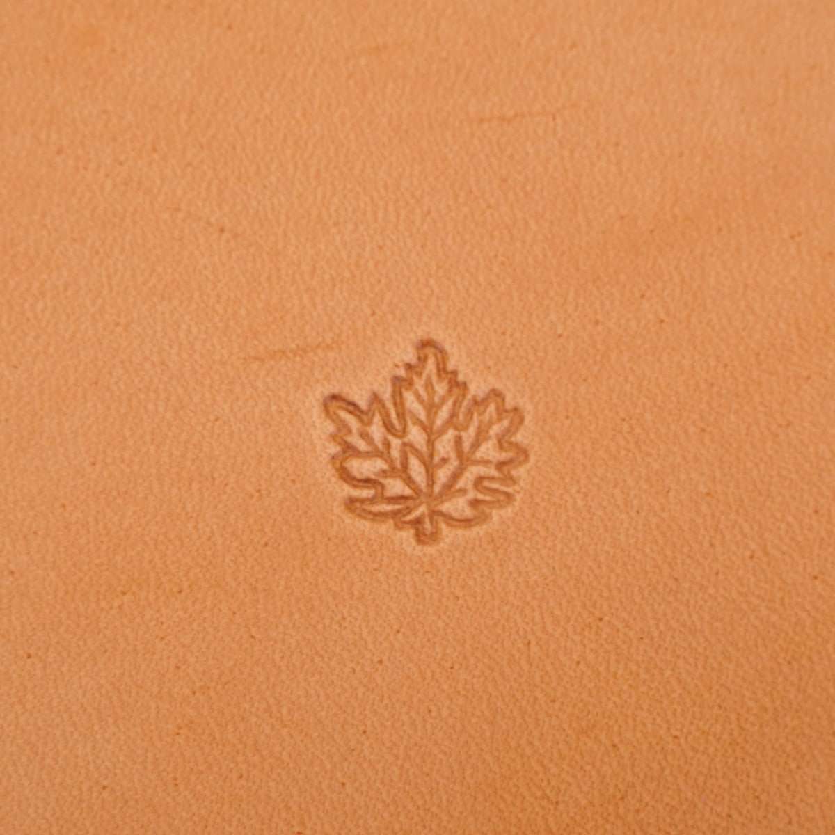 6792-00.SLC.01.jpg Stamping Tool - L792 Leaf Image