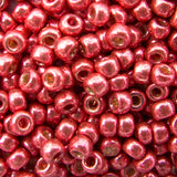 8/0 Seed Beads - Galvanized Light Cranberry 22g