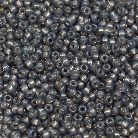 45-1194251.SLC.1.jpg 11/0 Seed Bead - Duracoat Silver Lined Dark Charcoal 23g Image
