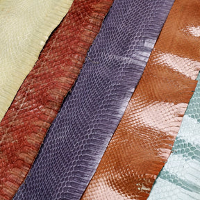 Whipsnake 5 Pack