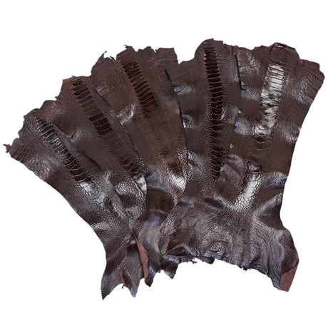 22-17.SLC.5.jpg Special Purchase Ostrich Leg - Bordeaux Image