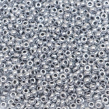 222-144027.SLC.1.jpg 10/0 Glass Seed Beads - Silver 110g Image