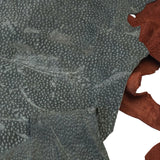 825-1001.SLC.01.jpg 2lbs Carpincho (Capybara) Remnants Image