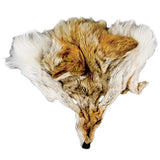 Coyote Face