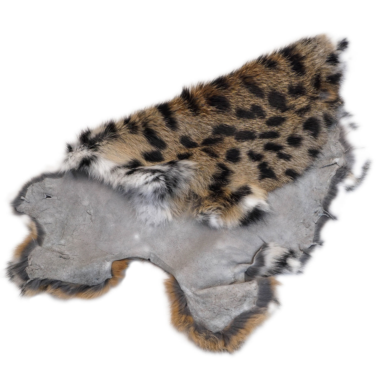 609-2.SLC.3.jpg Printed Rabbit Skin - Cheetah Image