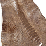 63-30514.SLC.1.jpg Ostrich Leg - Rugged Image