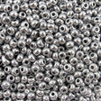 222-144027.SLC.jpg 10/0 Glass Seed Beads - Silver 20g Image