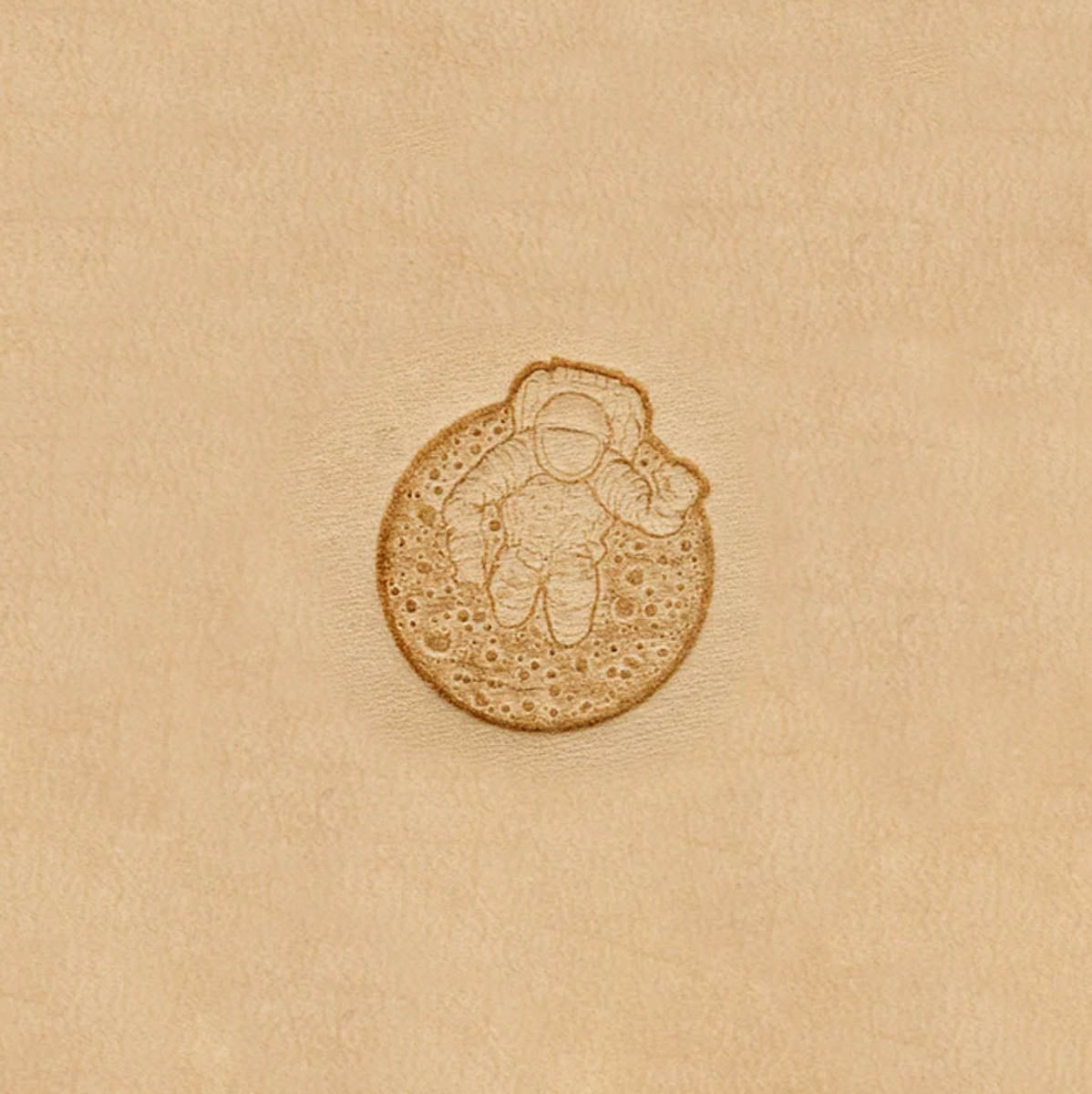 3DSS.Moon Walker.01.jpg 3D Space Stamps Image