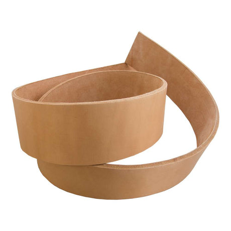 100-4575.SLC.jpg 2 1/2" Premium Stirrup Strap Image