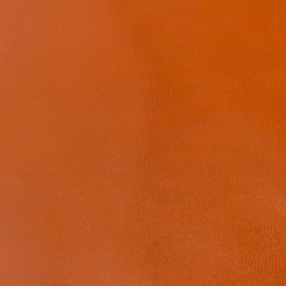 KDSKF.Whiskey.03.jpg Shrut & Asch Kidskins Image