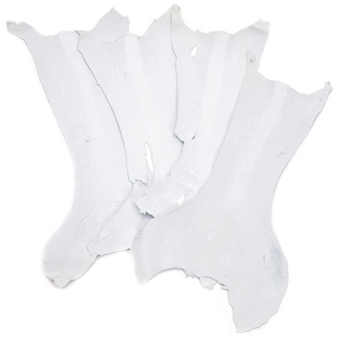 63-84011.SLC.01.jpg Ostrich Leg - Crust Image