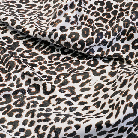 828-020.SLC.03.jpg Snow Leopard on Lamb Image