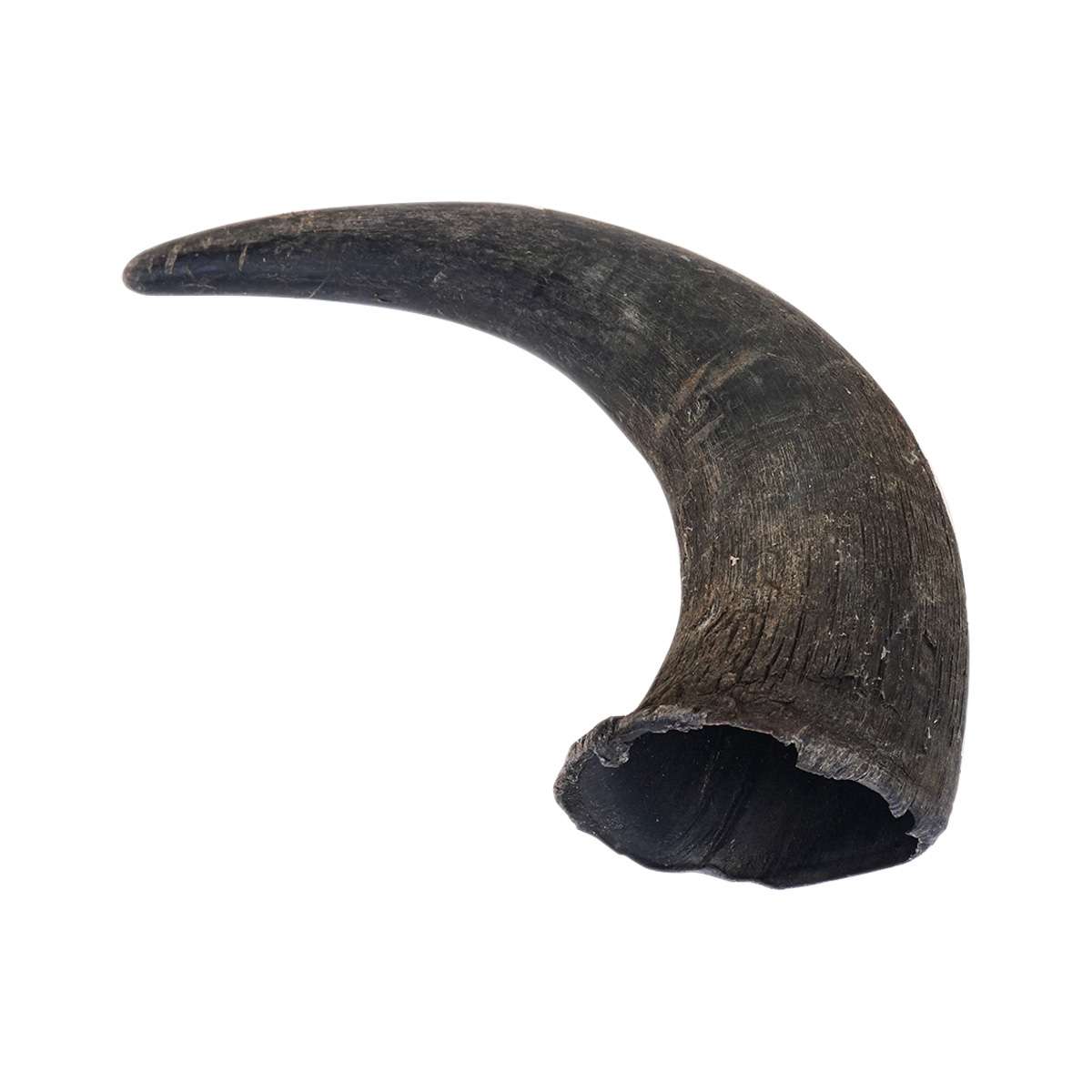 26-1001.SLC.05.jpg Buffalo Powder Horn Kit Image