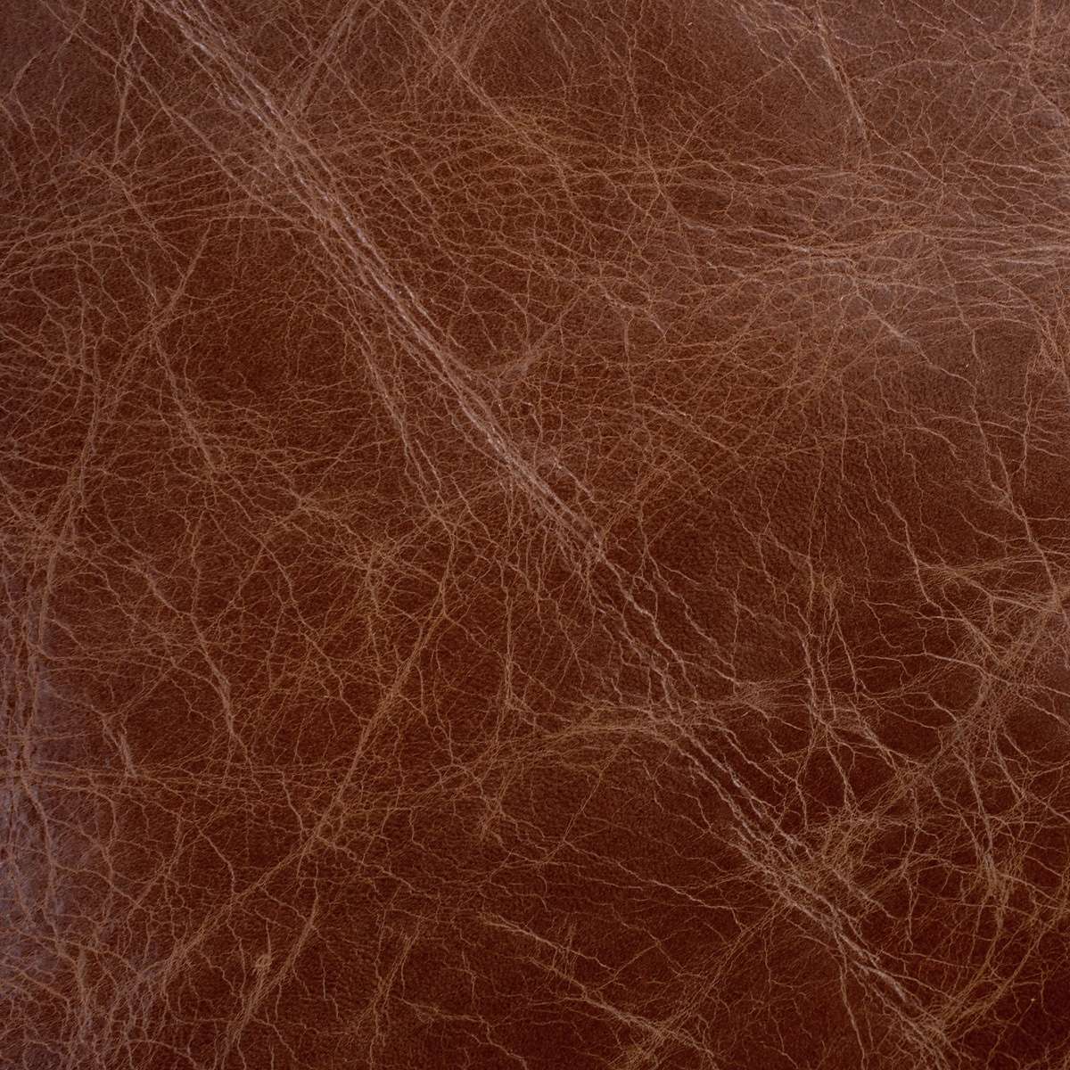 VENUP.Brandy.02.jpg Venetian Upholstery Hide Image