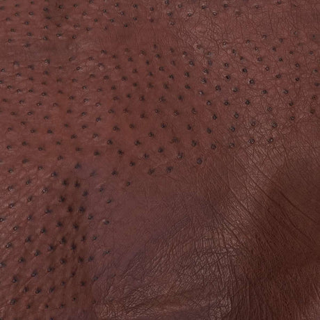 OSTH.Kango Tobac.02.jpg Ostrich Hides Image