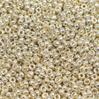 45-1194201.SLC.1.jpg 11/0 Seed Bead - Duracoat Galvanized Silver 22g Image