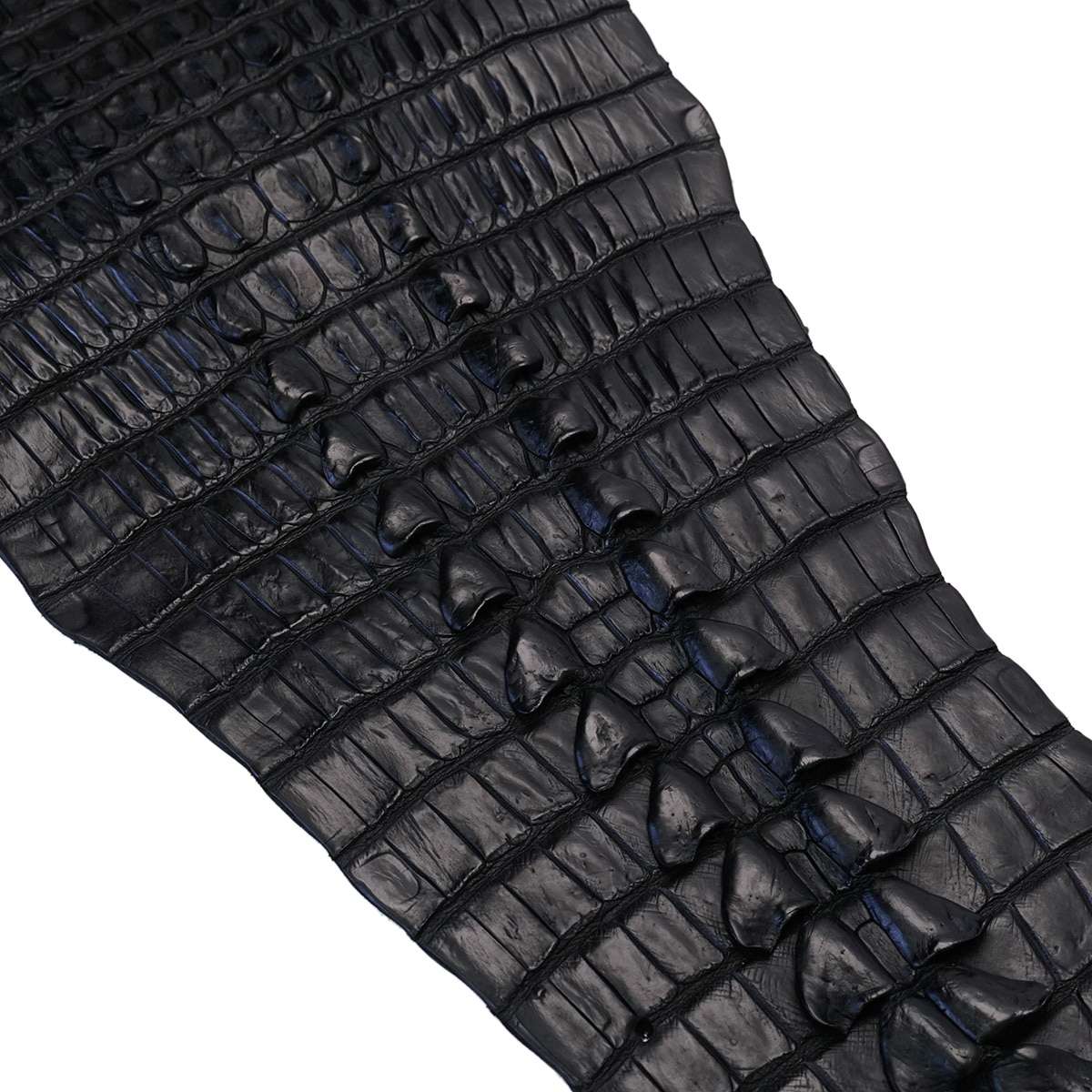 63-326.SLC.03.jpg Nile Croc with Hornback - Black Small Image