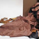 61-101.SLC.02.jpg 25lb Ostrich Remnant Box Image