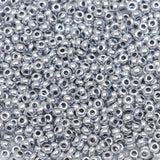 222-144027.SLC.1.jpg 10/0 Glass Seed Beads - Silver 110g Image
