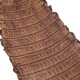 NCROC.Antique Pecan.Belly.03.jpg Nile Crocodile Tails Image