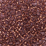 229-103.SLC.1.jpg Seed Beads 10/0 Amethyst Crystal Lined - 20g Image