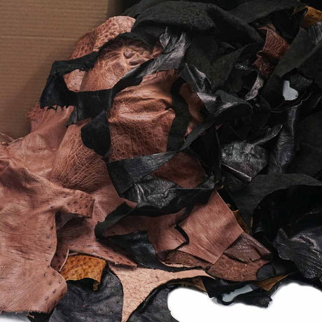 61-101.SLC.03.jpg 25lb Ostrich Remnant Box Image