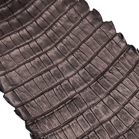 NCROC.Brown.Belly.03.jpg Nile Crocodile Tails Image