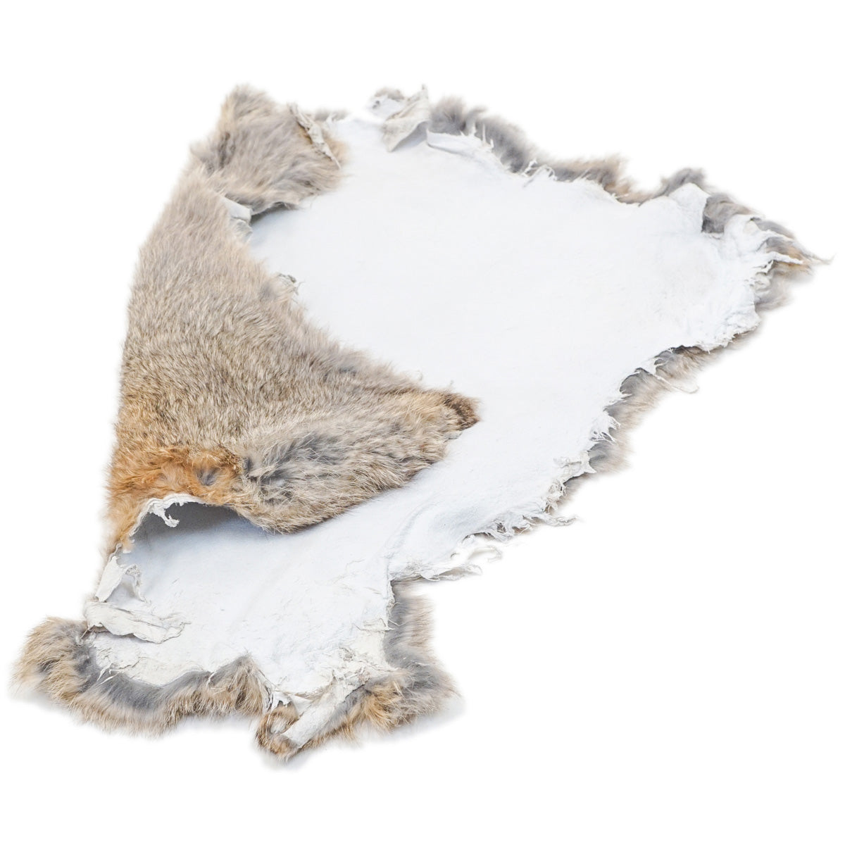 22-260502.SLC.3.jpg Mixed Natural Rabbit Skin Image